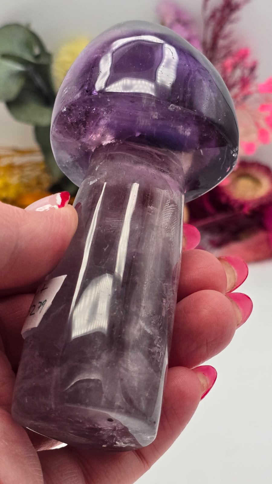 Amethyst Mushroom