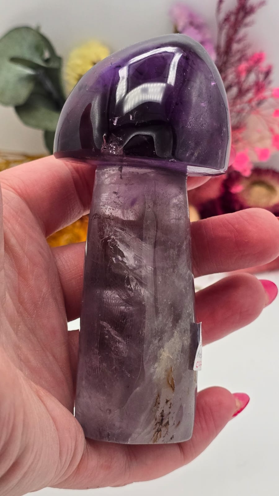 Amethyst Mushroom