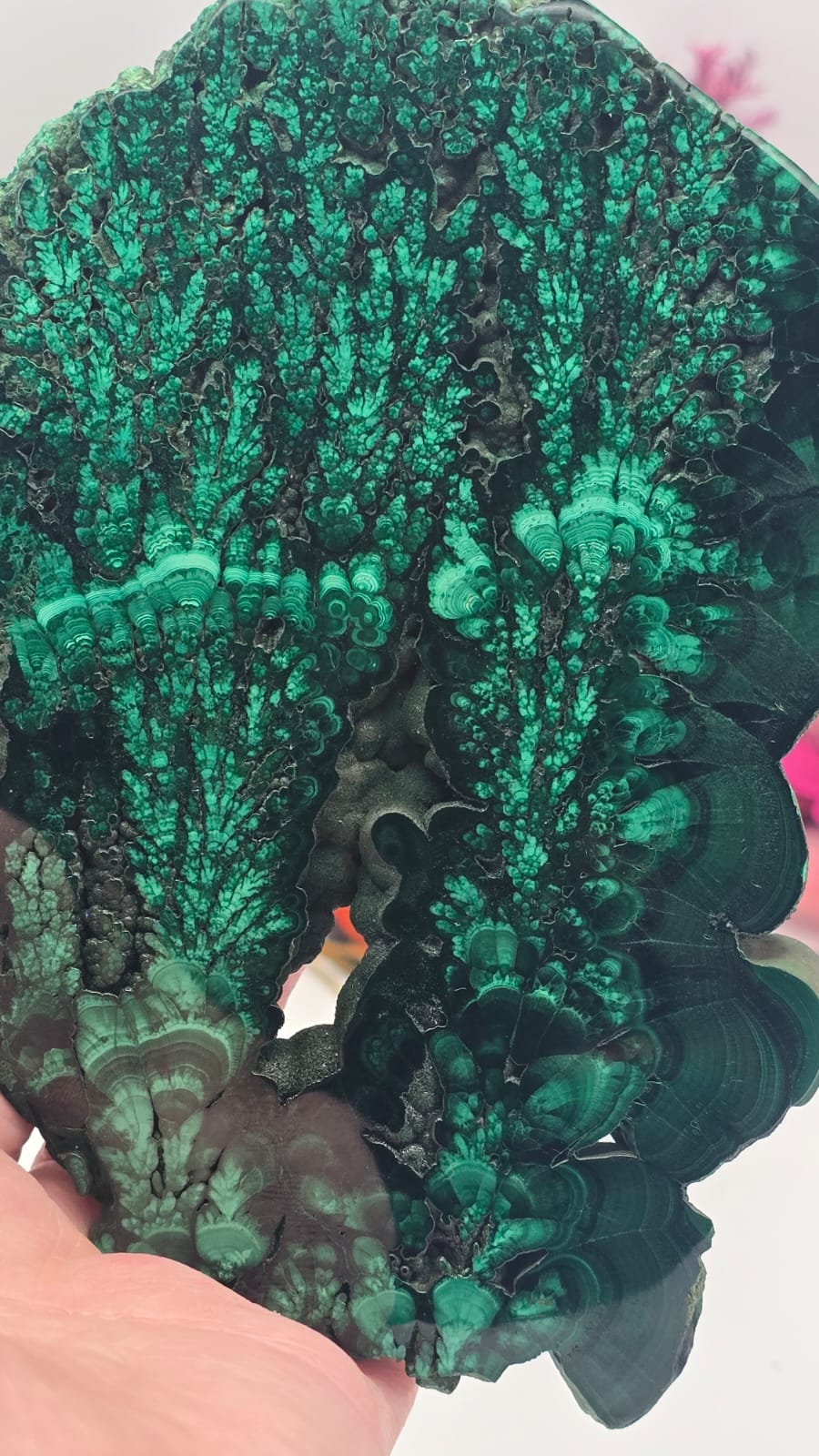 Malachite Free Form Slab