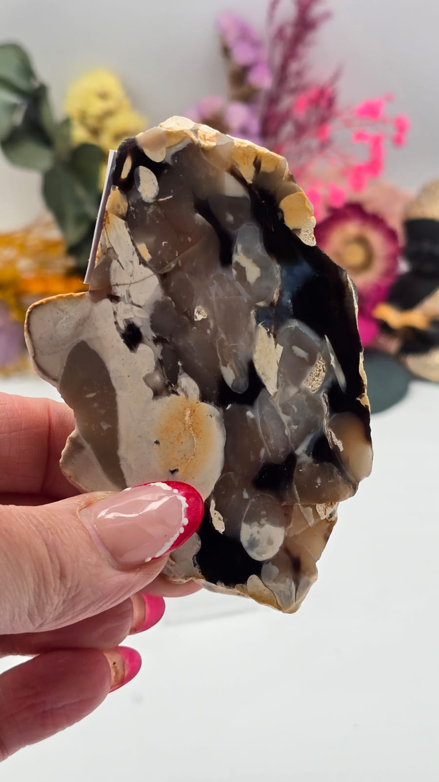 Peanut Wood (Opalised) Slice