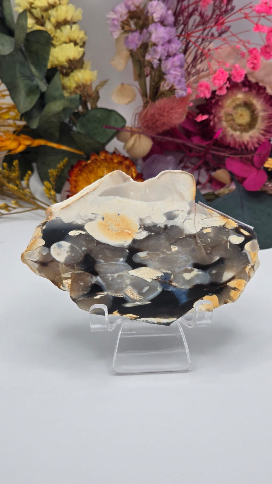 Peanut Wood (Opalised) Slice