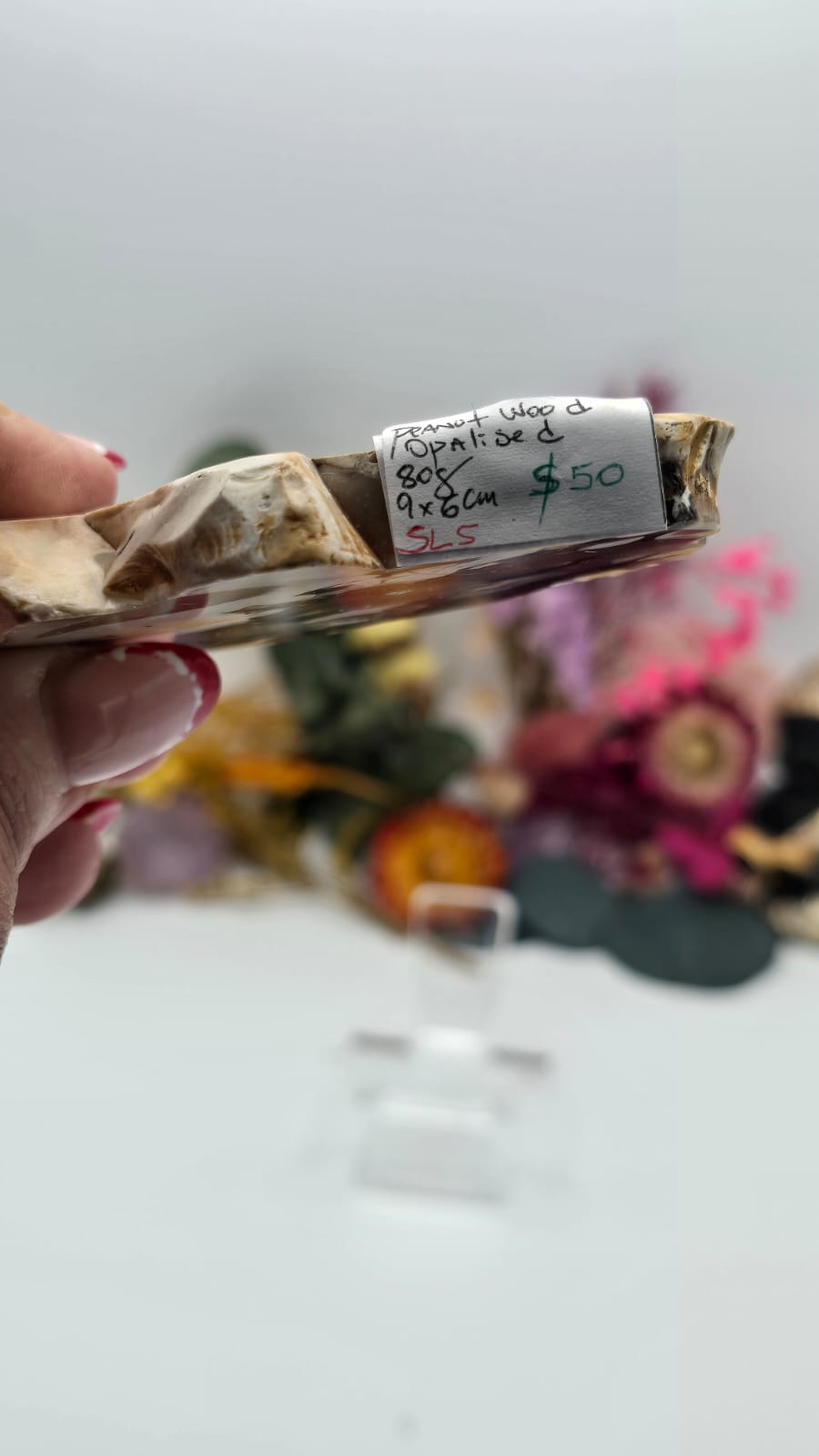 Peanut Wood (Opalised) Slice