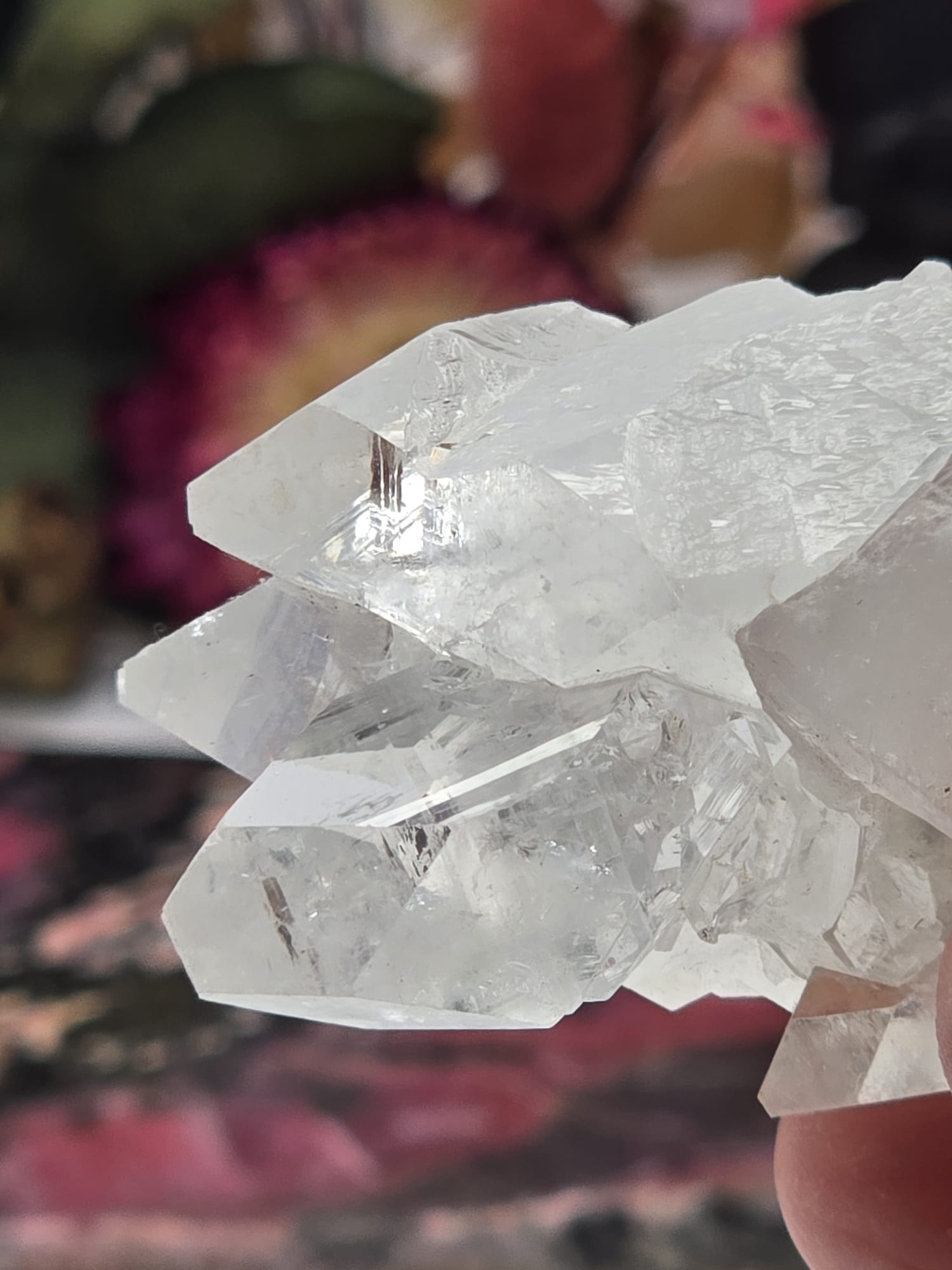 Apophyllite Cluster