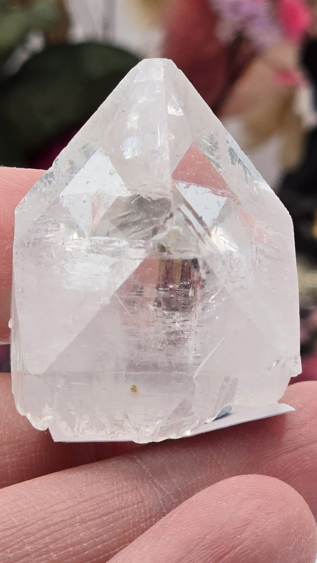Apophyllite Cluster