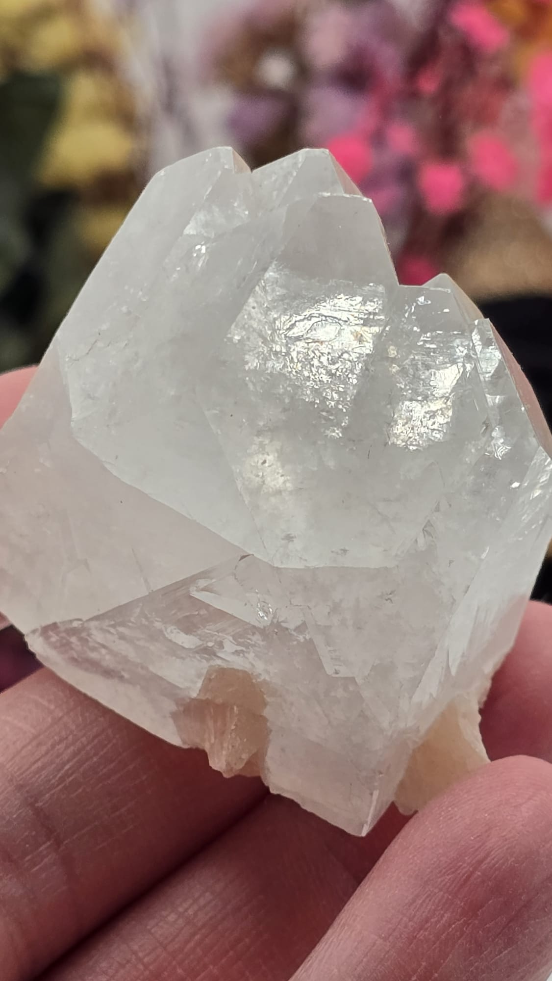 Apophyllite/ Stilbite Cluster