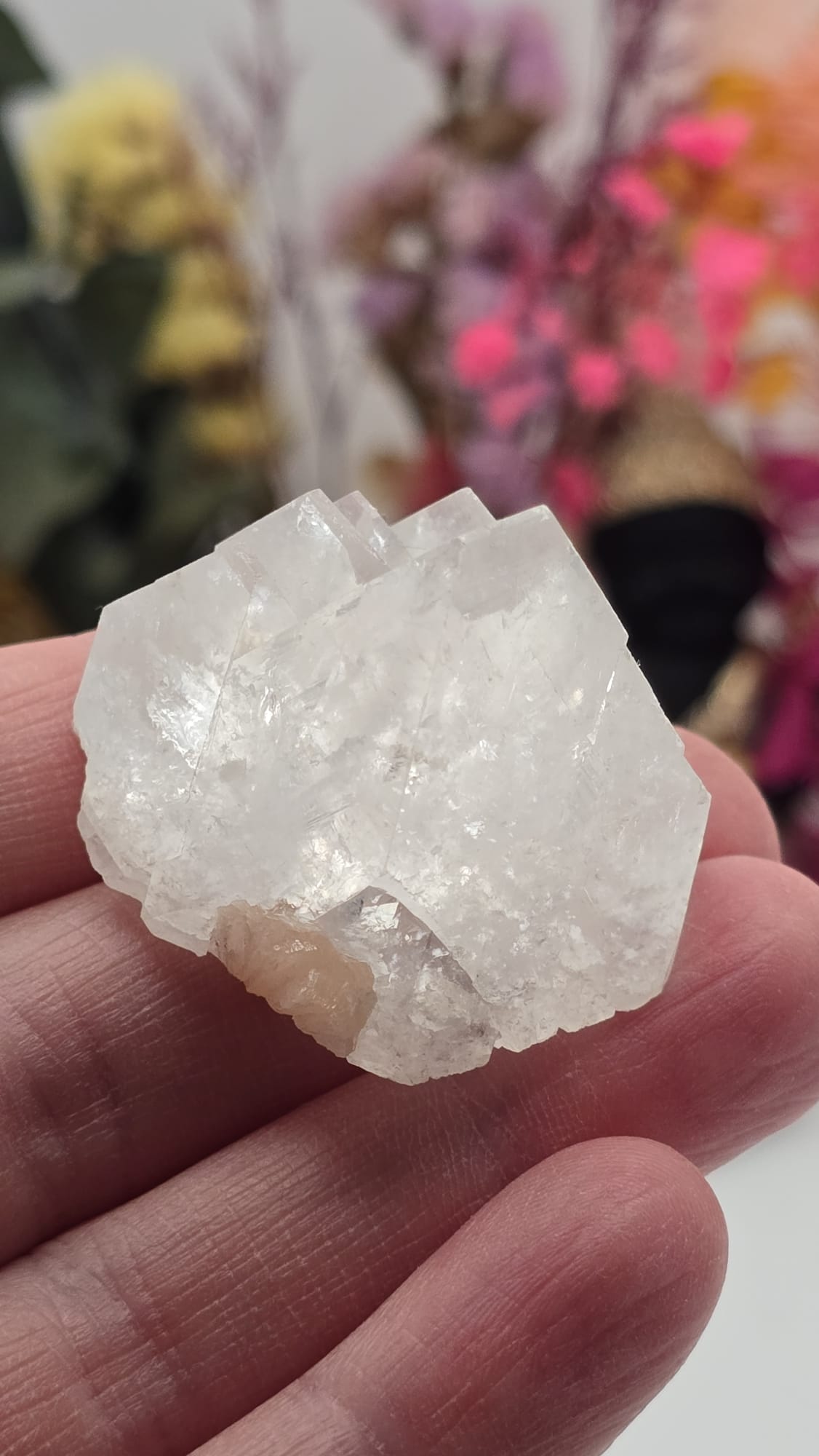 Apophyllite/ Stilbite Cluster
