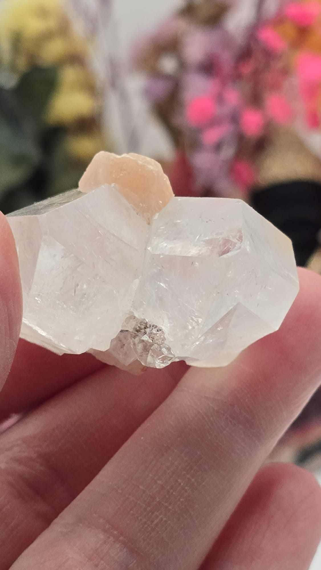 Apophyllite/ Stilbite Cluster