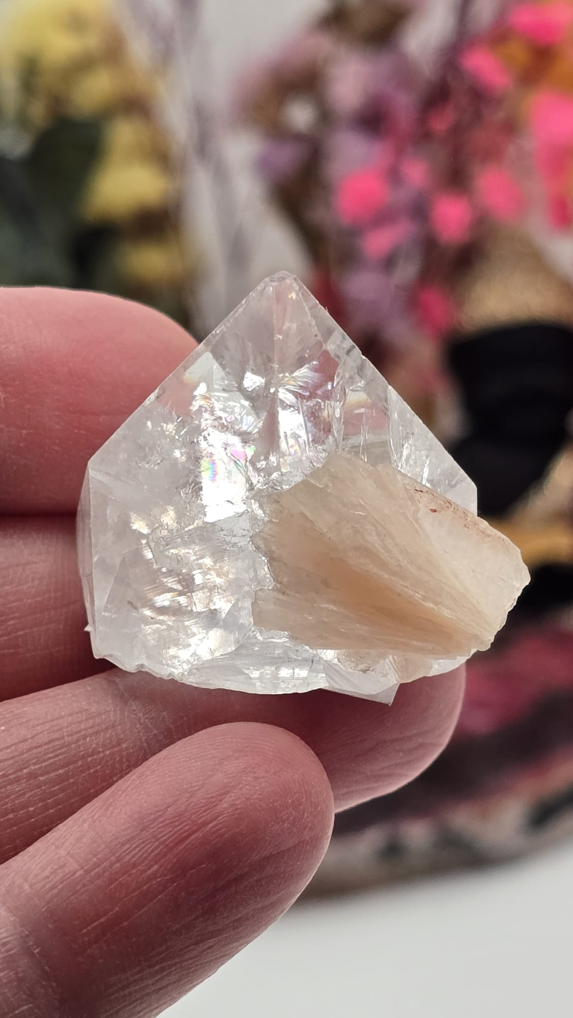 Apophyllite/ Stilbite Cluster