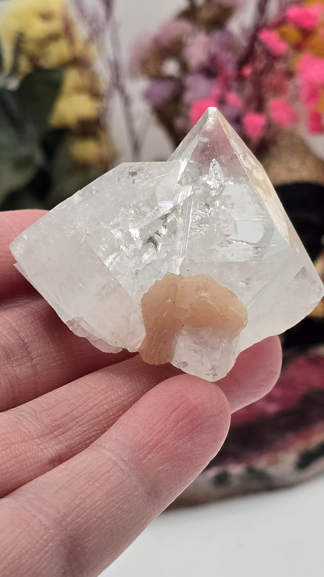 Apophyllite/ Stilbite Cluster