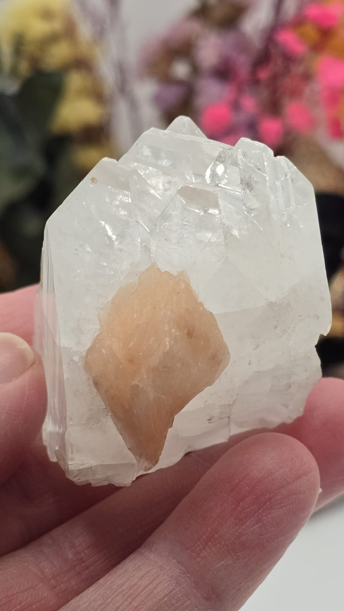 Apophyllite/ Stilbite Cluster