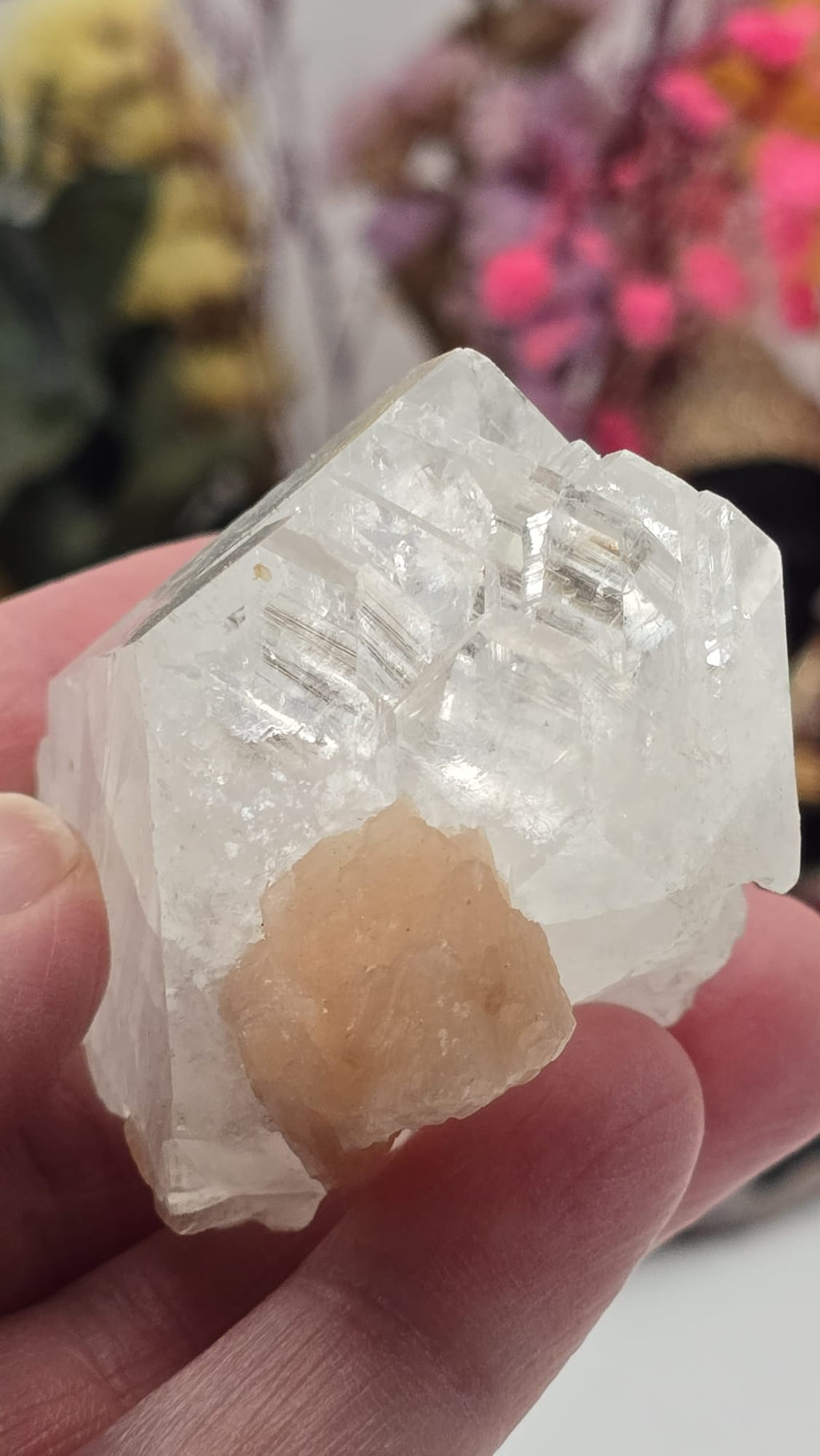 Apophyllite/ Stilbite Cluster