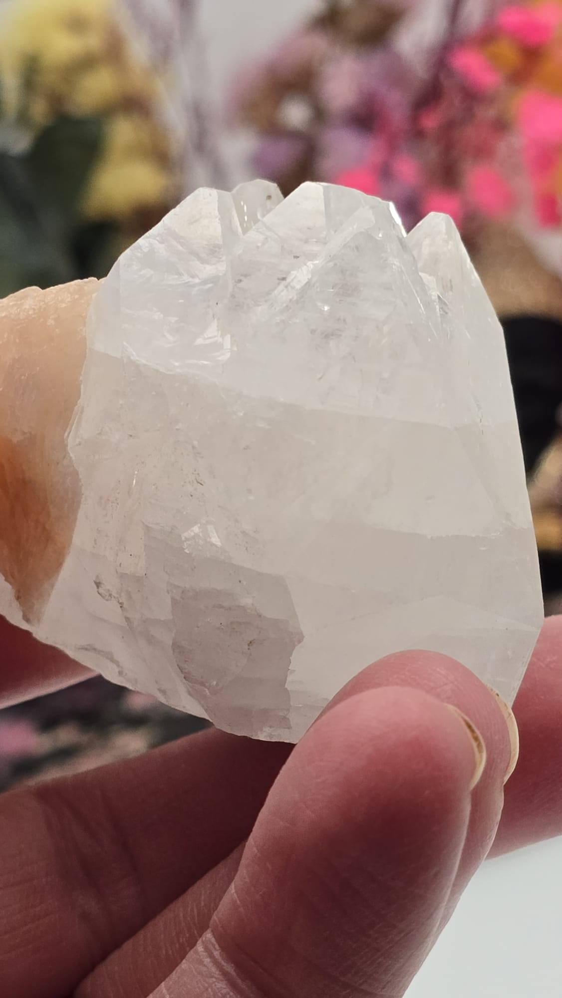 Apophyllite/ Stilbite Cluster