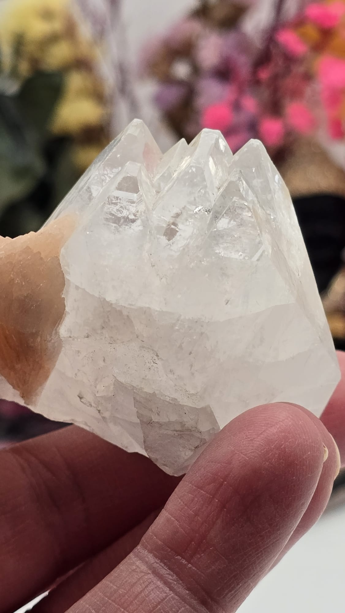 Apophyllite/ Stilbite Cluster