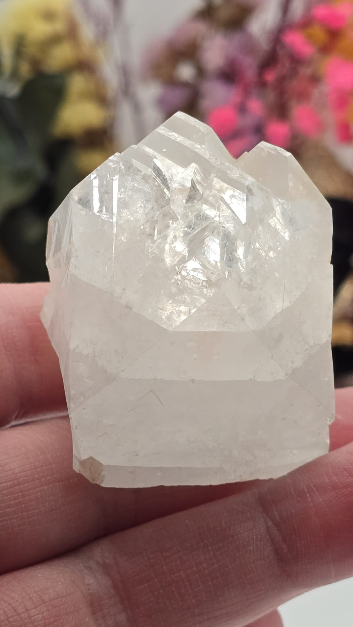 Apophyllite/ Stilbite Cluster