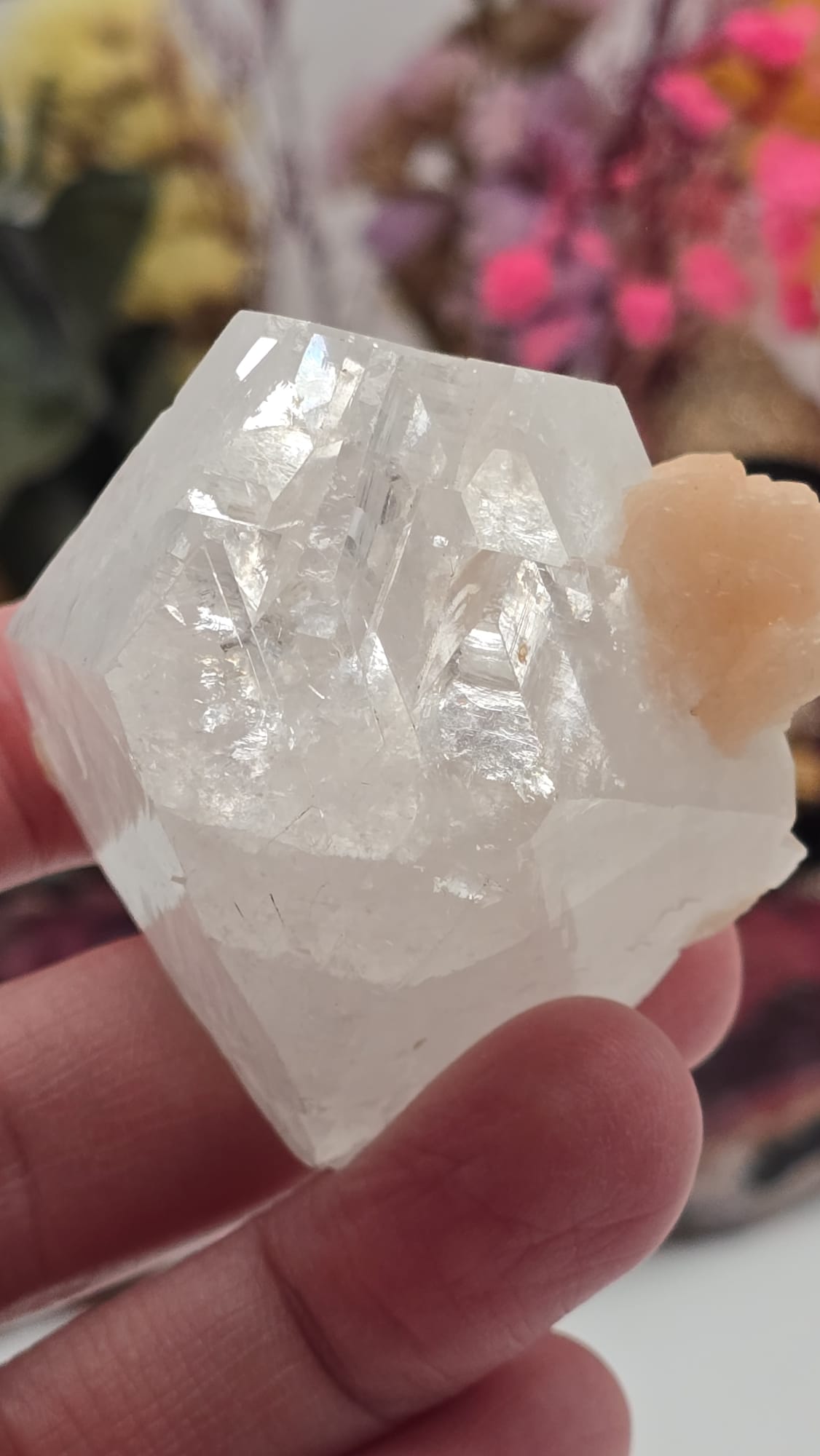 Apophyllite/ Stilbite Cluster