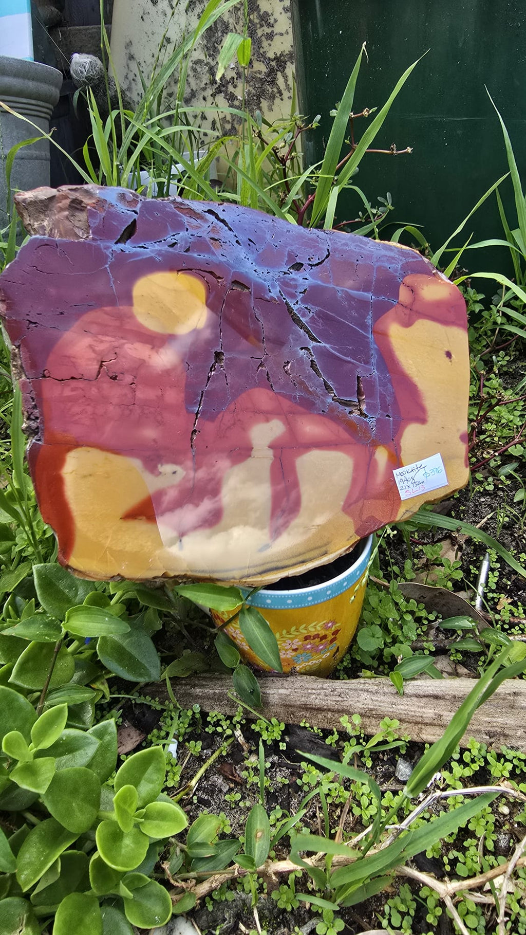 Mookaite Slice
