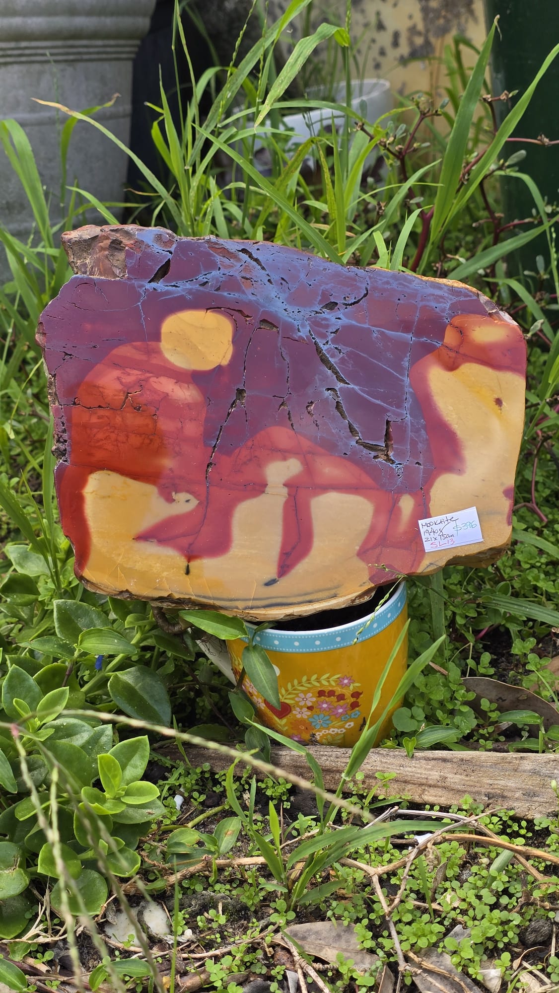 Mookaite Slice