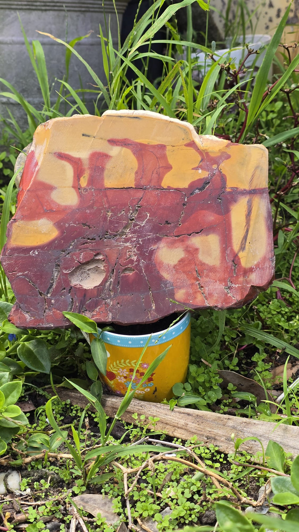 Mookaite Slice