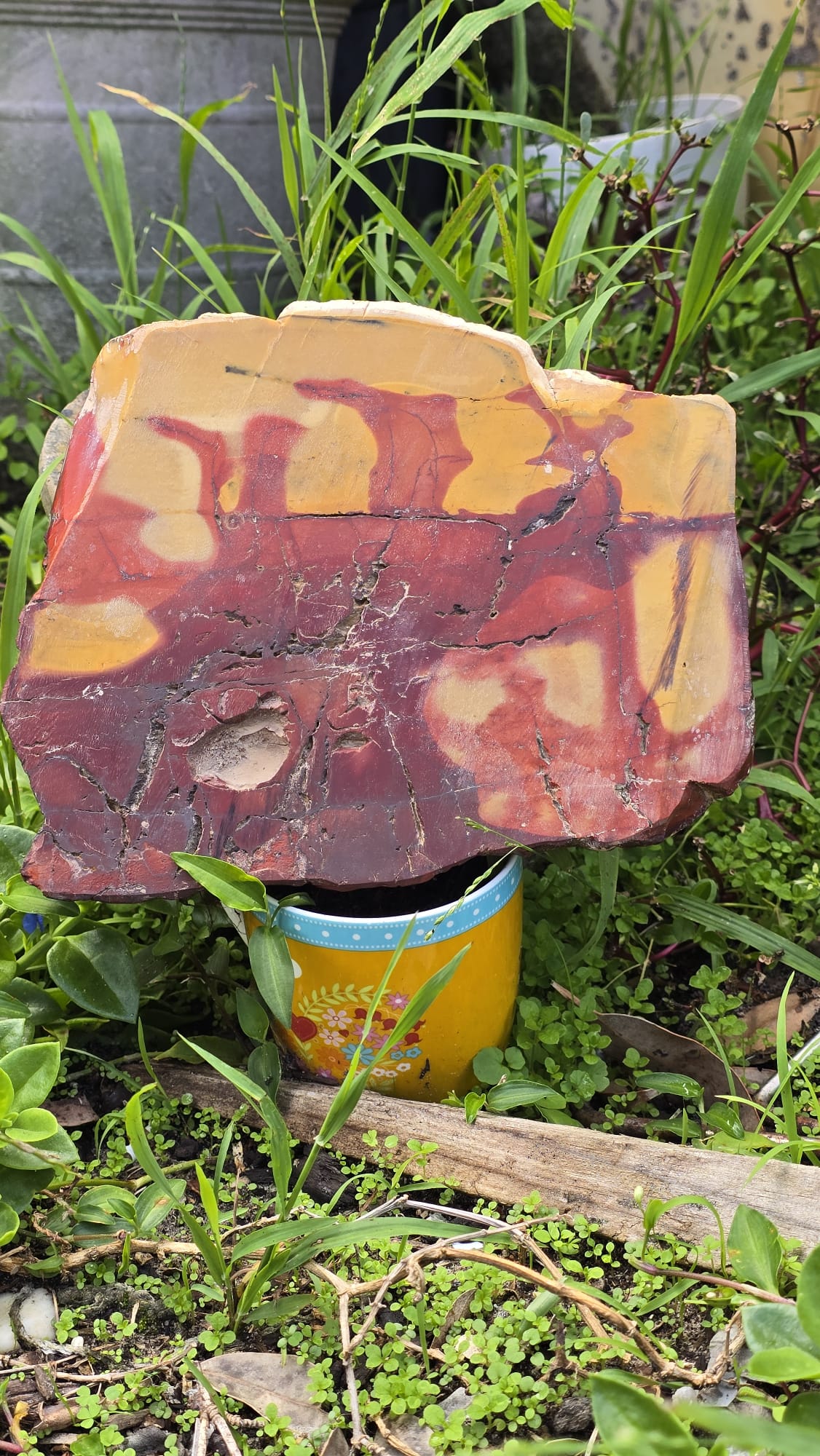 Mookaite Slice