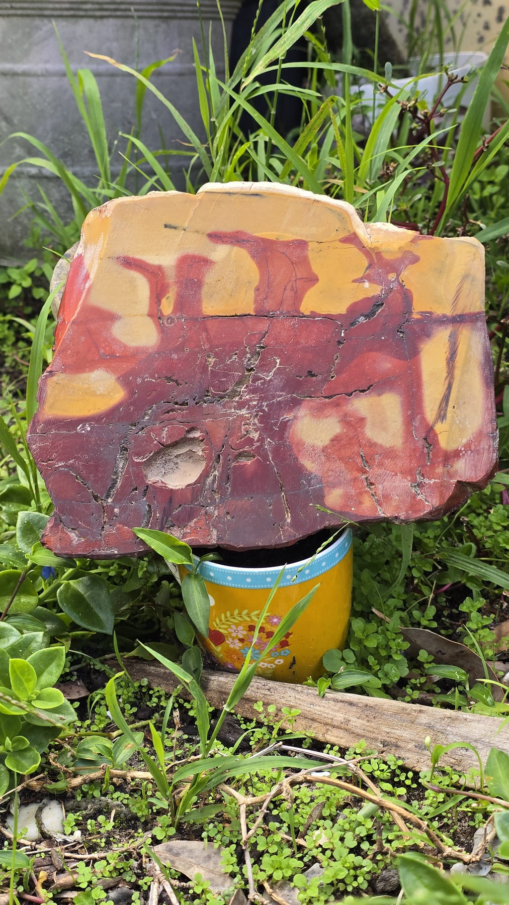 Mookaite Slice
