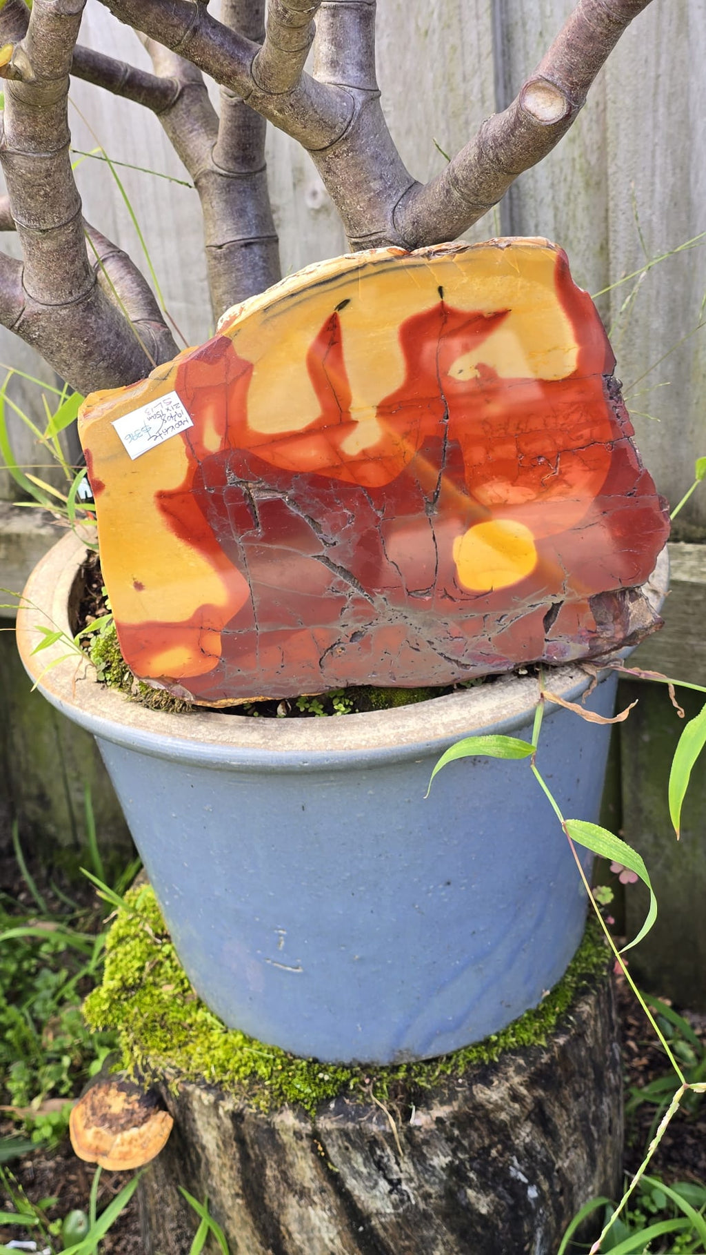 Mookaite Slice