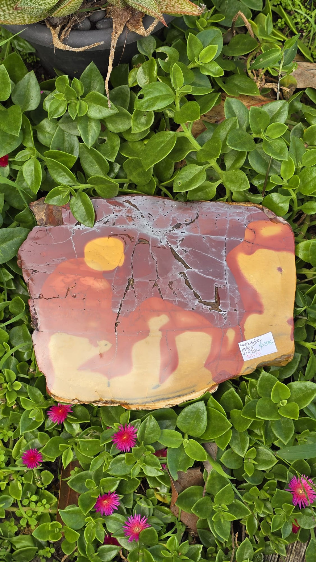 Mookaite Slice