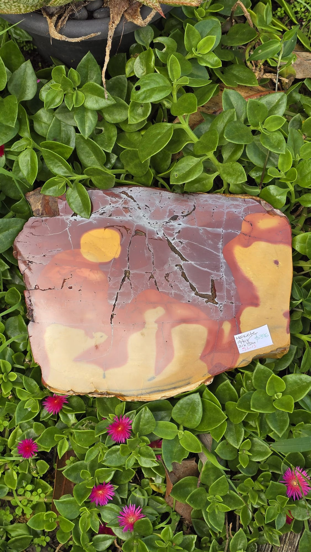 Mookaite Slice