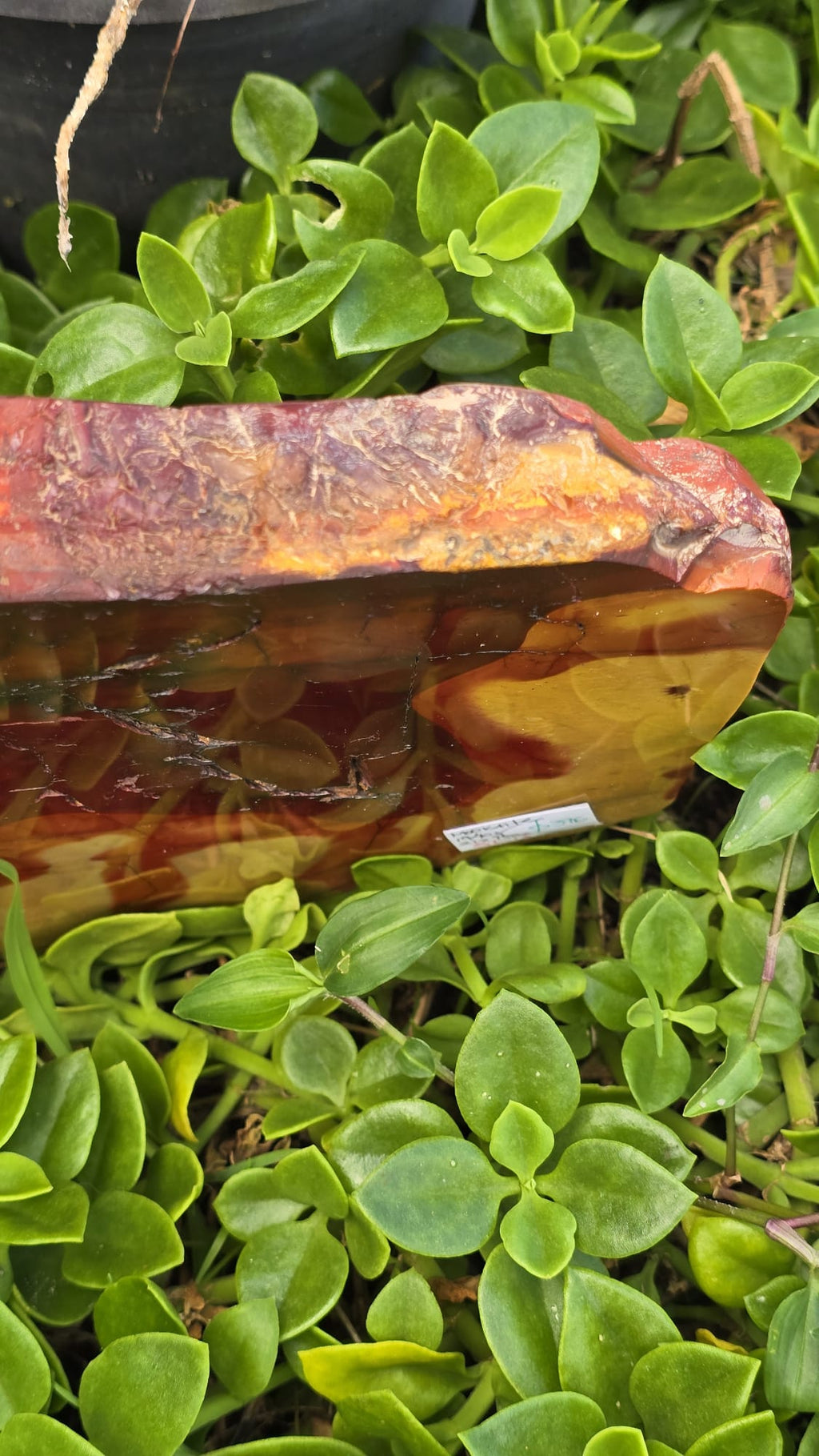 Mookaite Slice