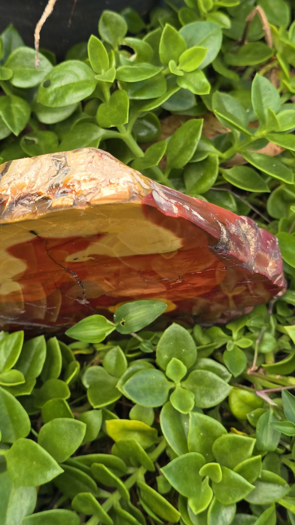 Mookaite Slice