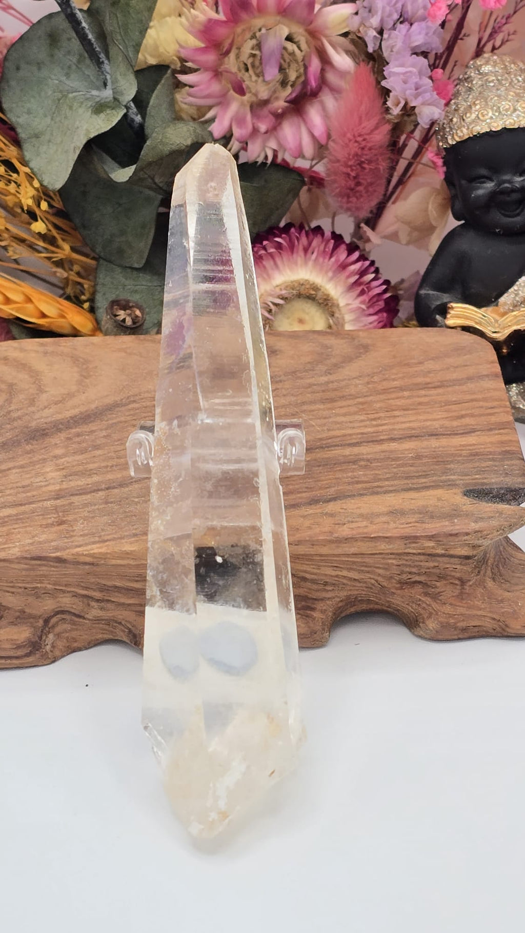 Lemurian ( Columbia)