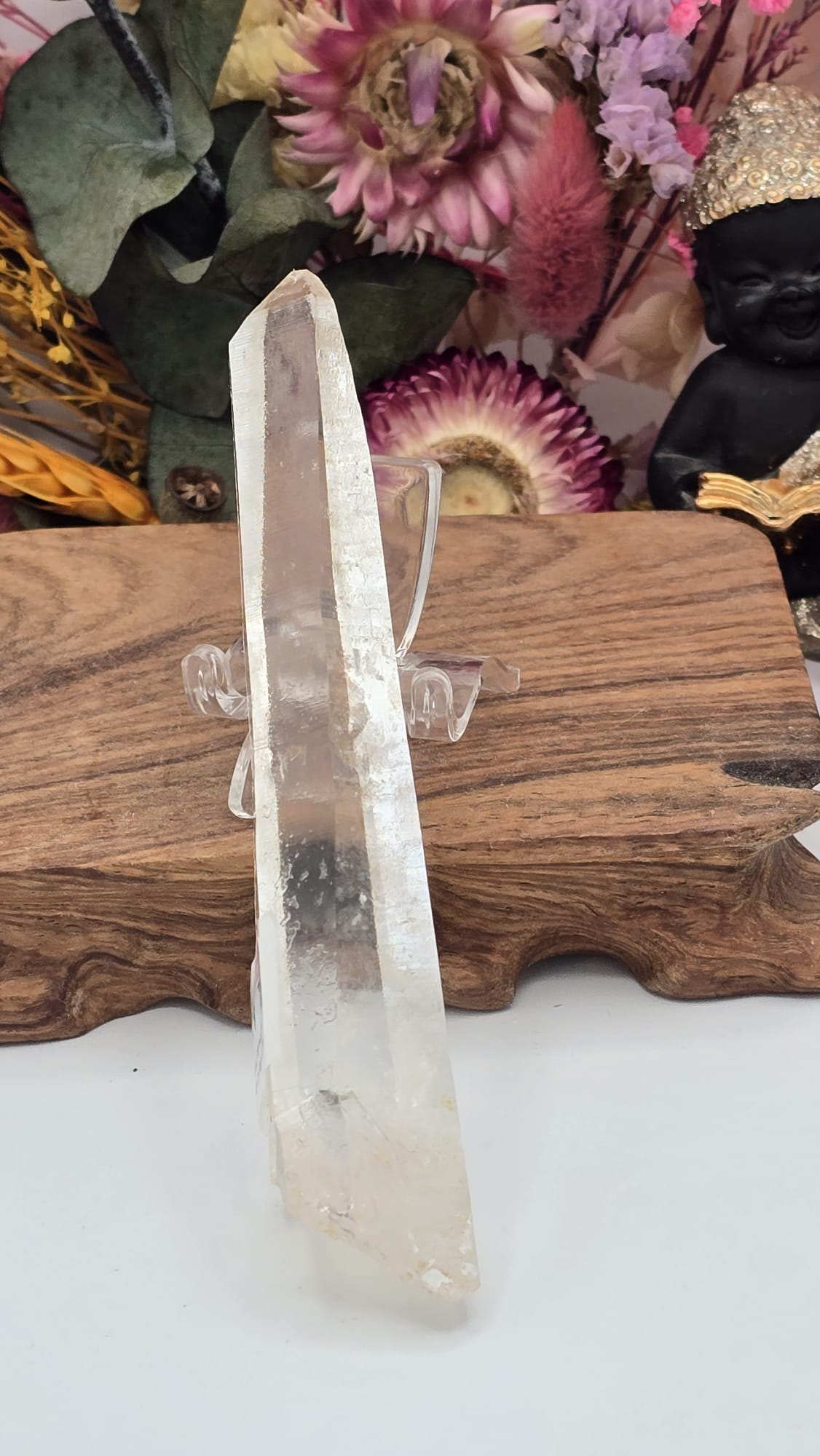 Lemurian ( Columbia)