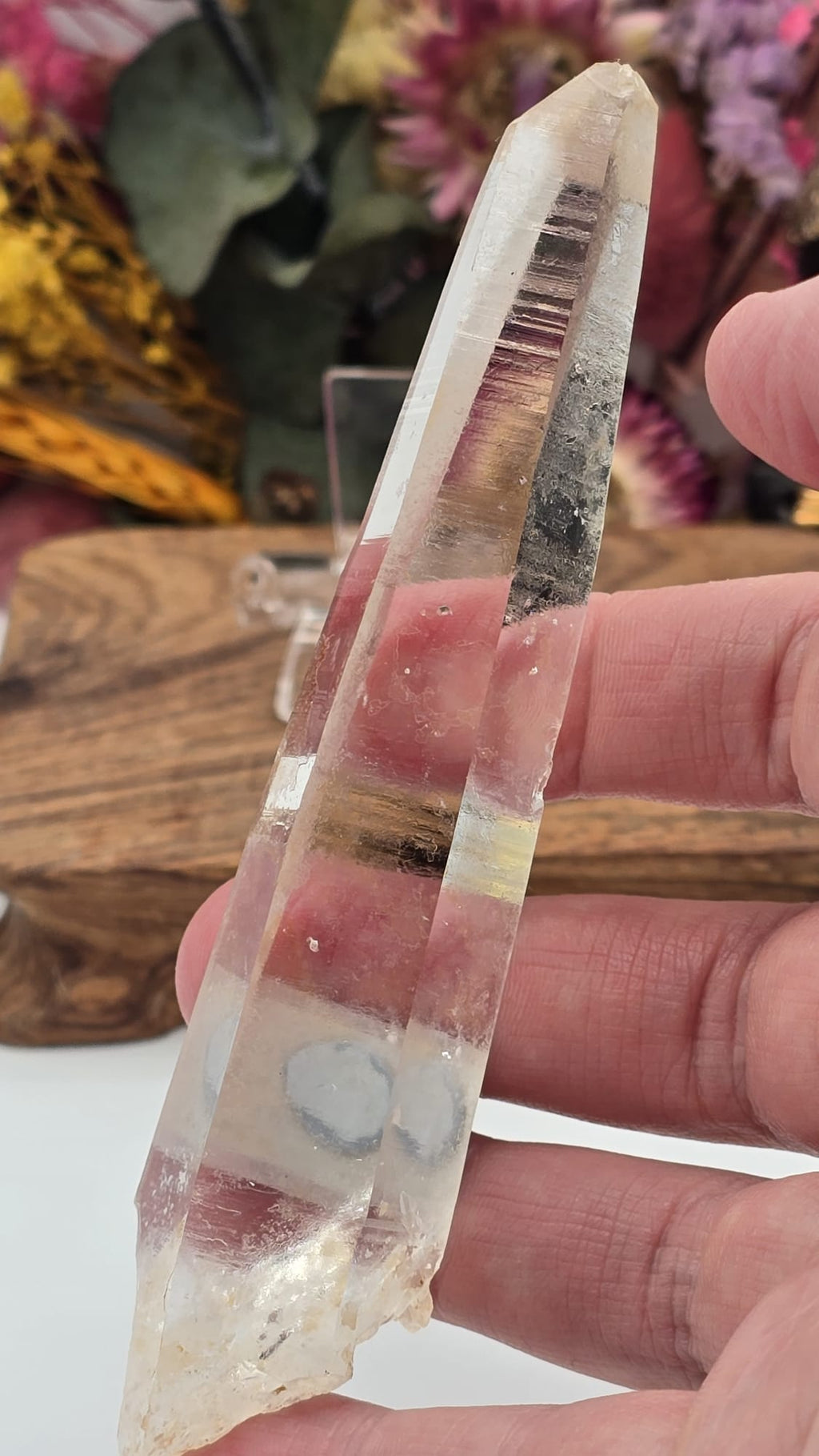 Lemurian ( Columbia)