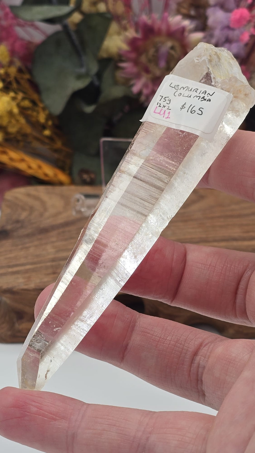 Lemurian ( Columbia)