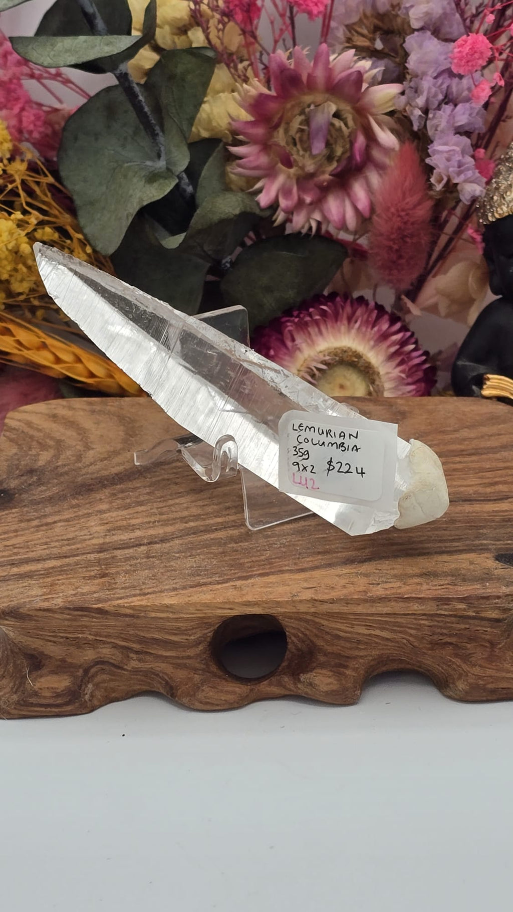 Lemurian ( Columbia)