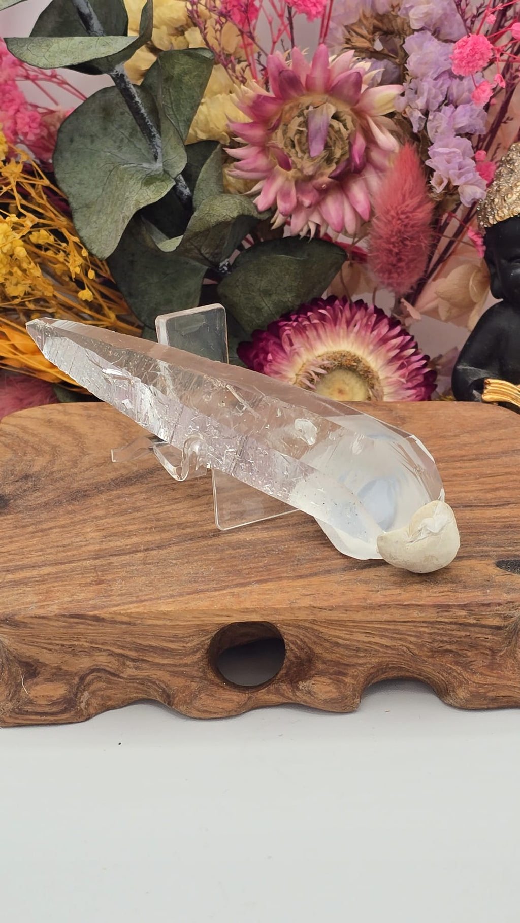 Lemurian ( Columbia)