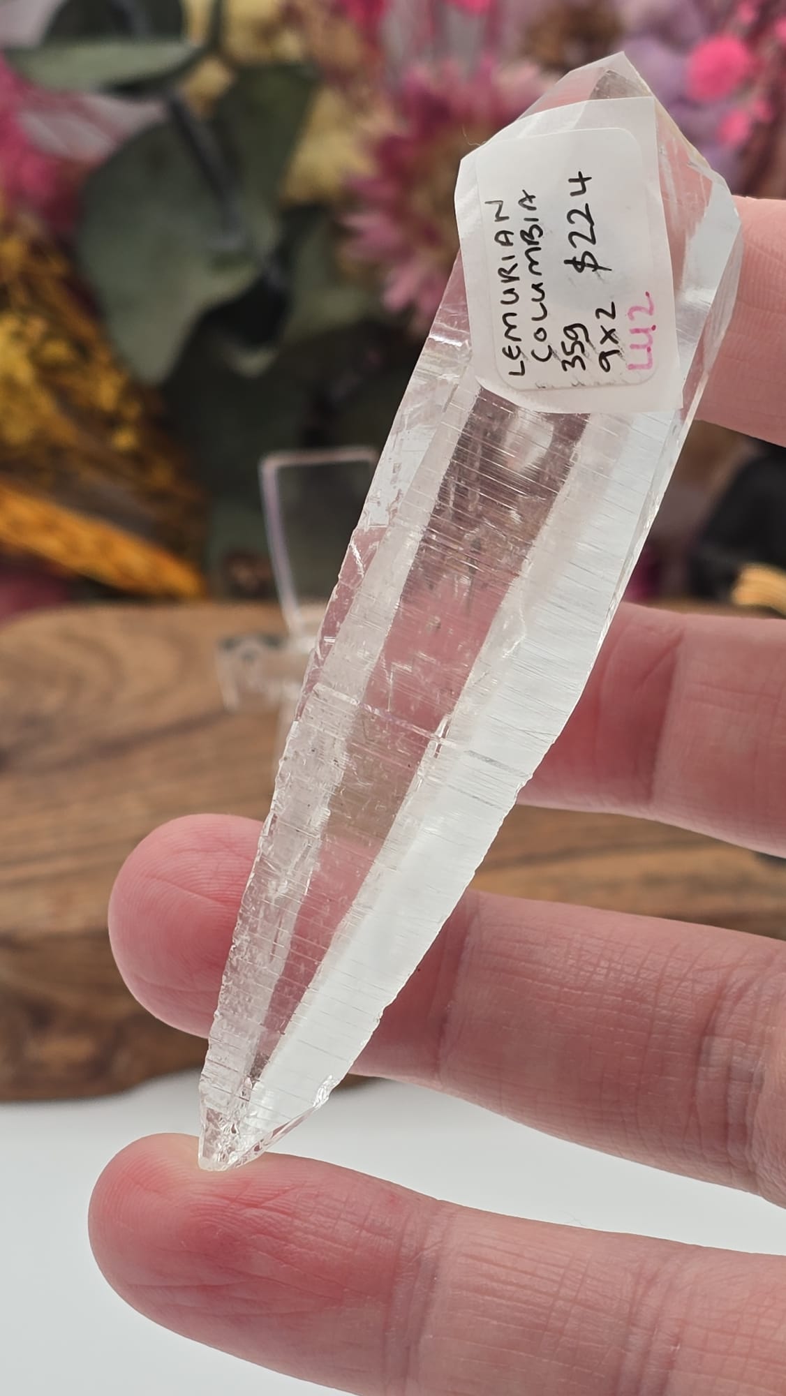 Lemurian ( Columbia)