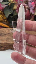 Lemurian ( Columbia)