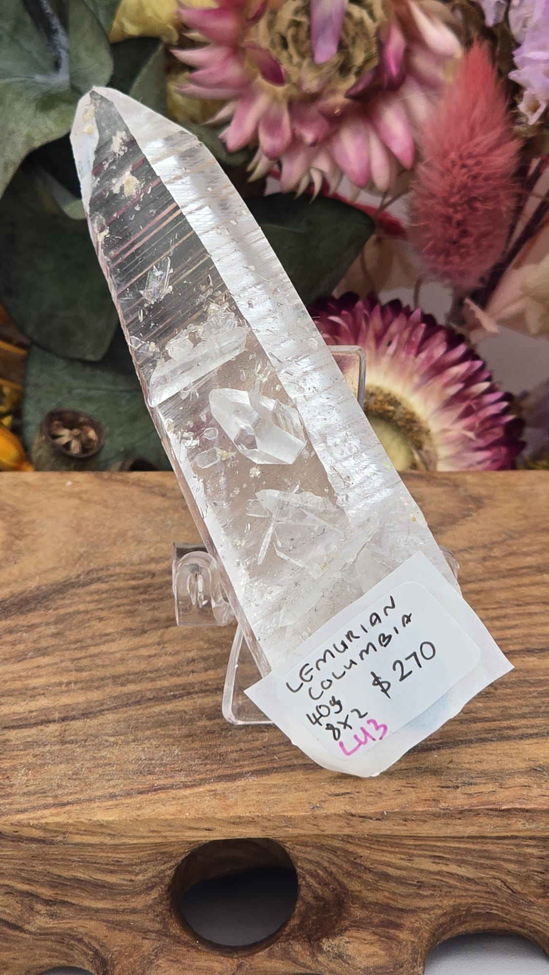 Lemurian ( Columbia)