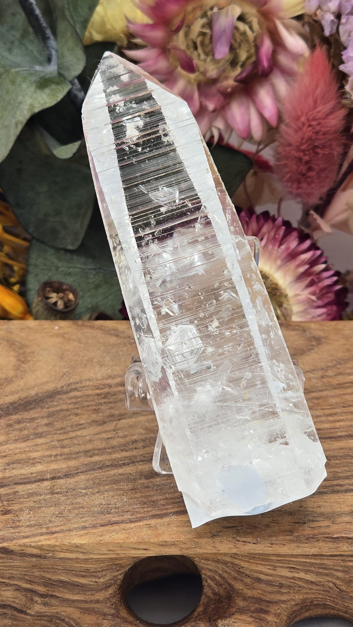 Lemurian ( Columbia)
