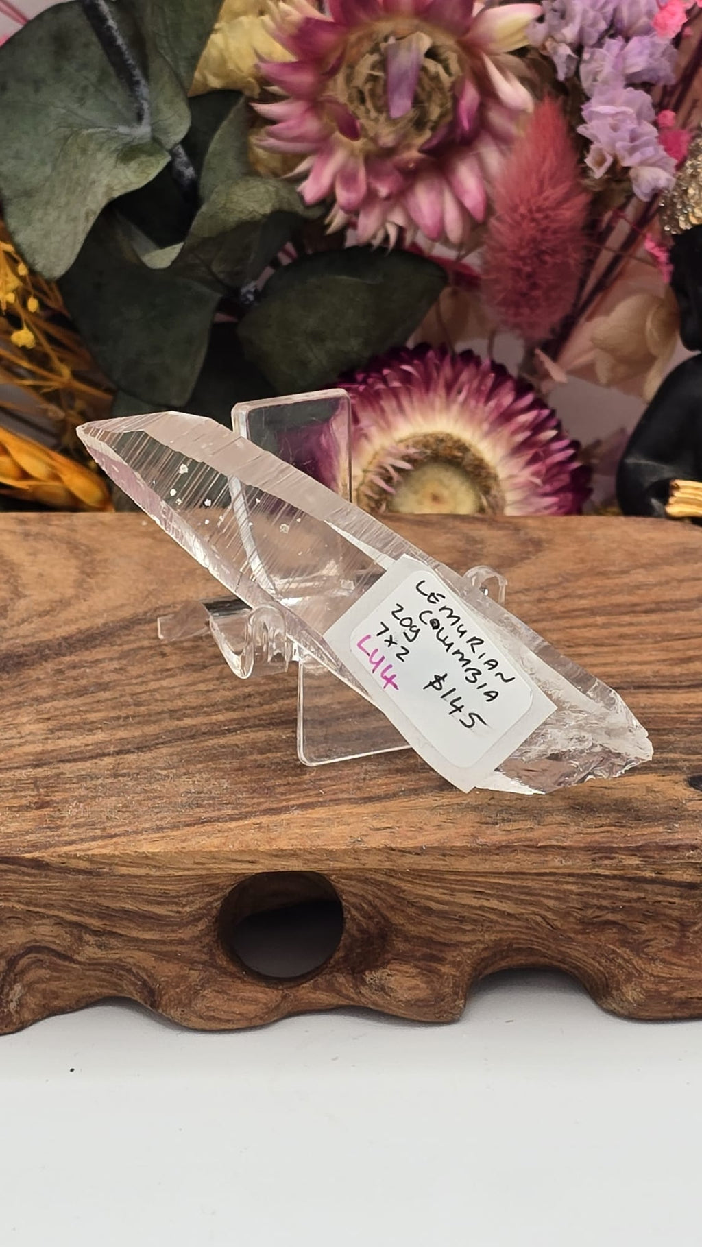 Lemurian ( Columbia)