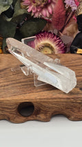 Lemurian ( Columbia)