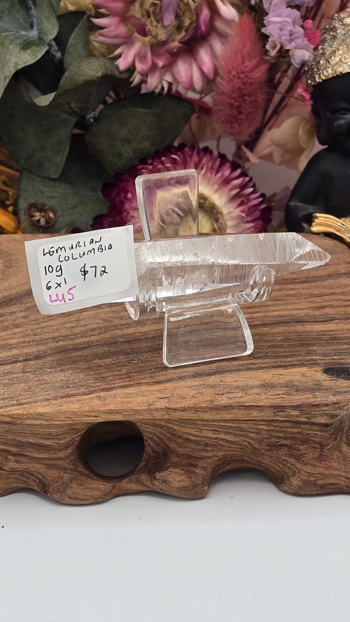 Lemurian ( Columbia)