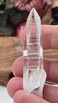 Lemurian ( Columbia)