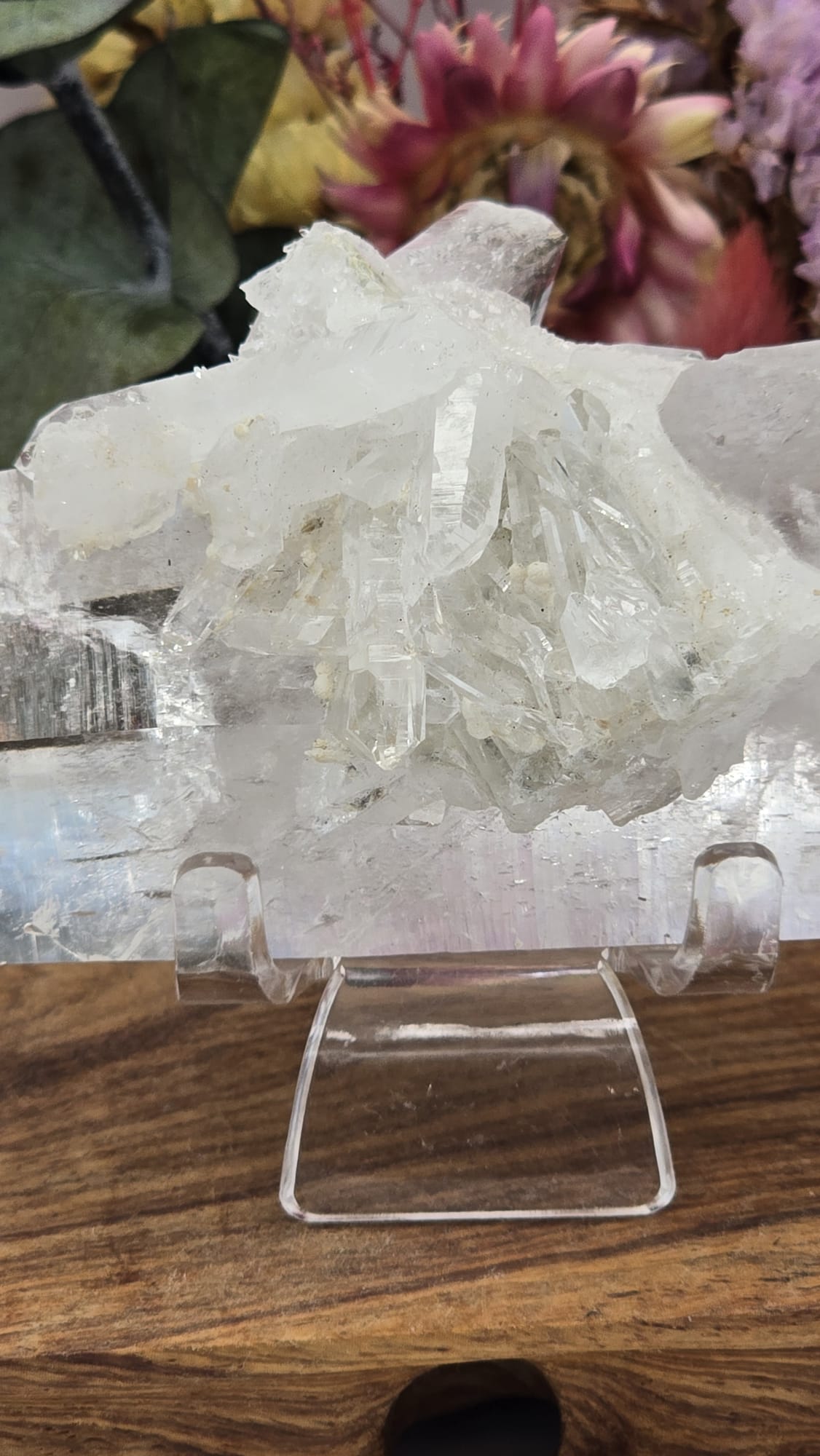 Lemurian ( Australian )