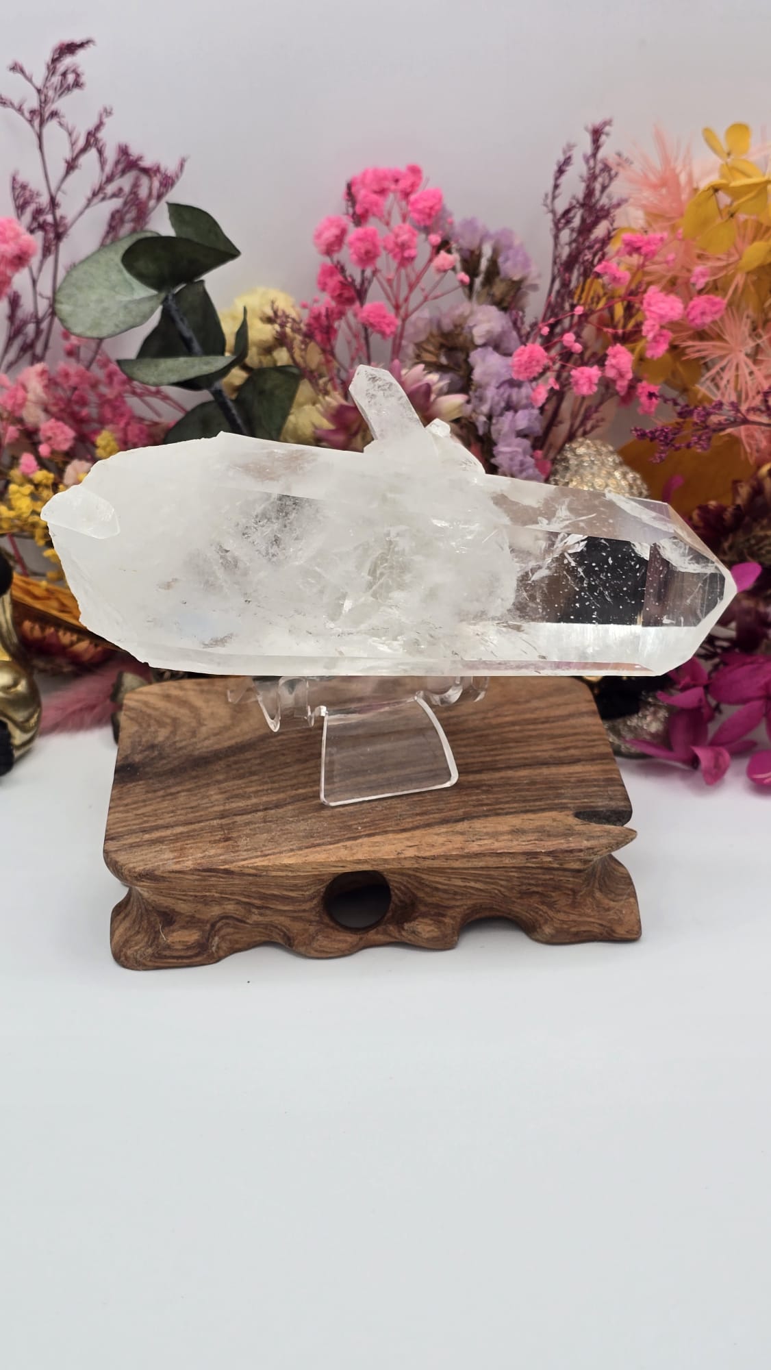Lemurian ( Australian )