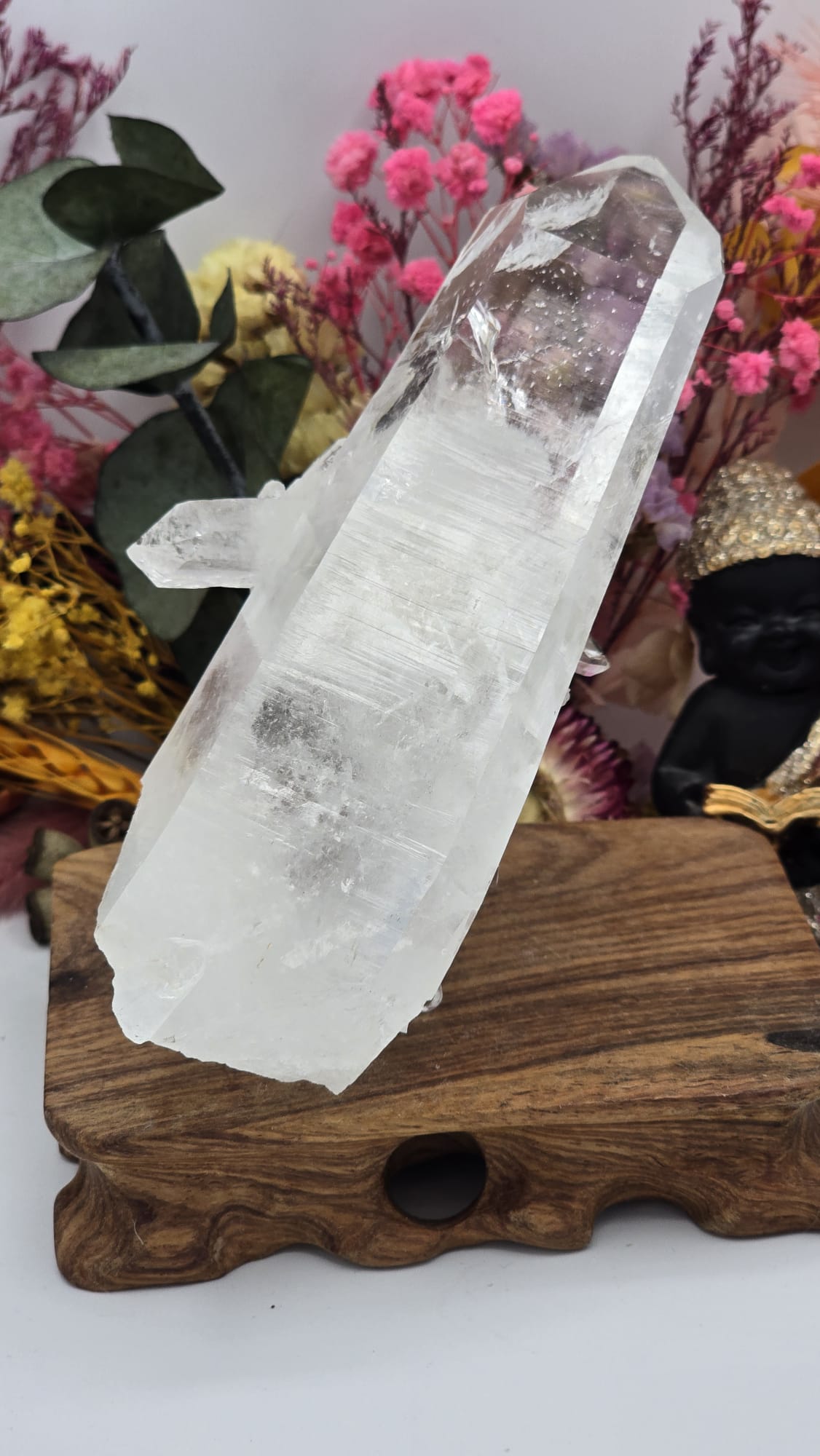 Lemurian ( Australian )