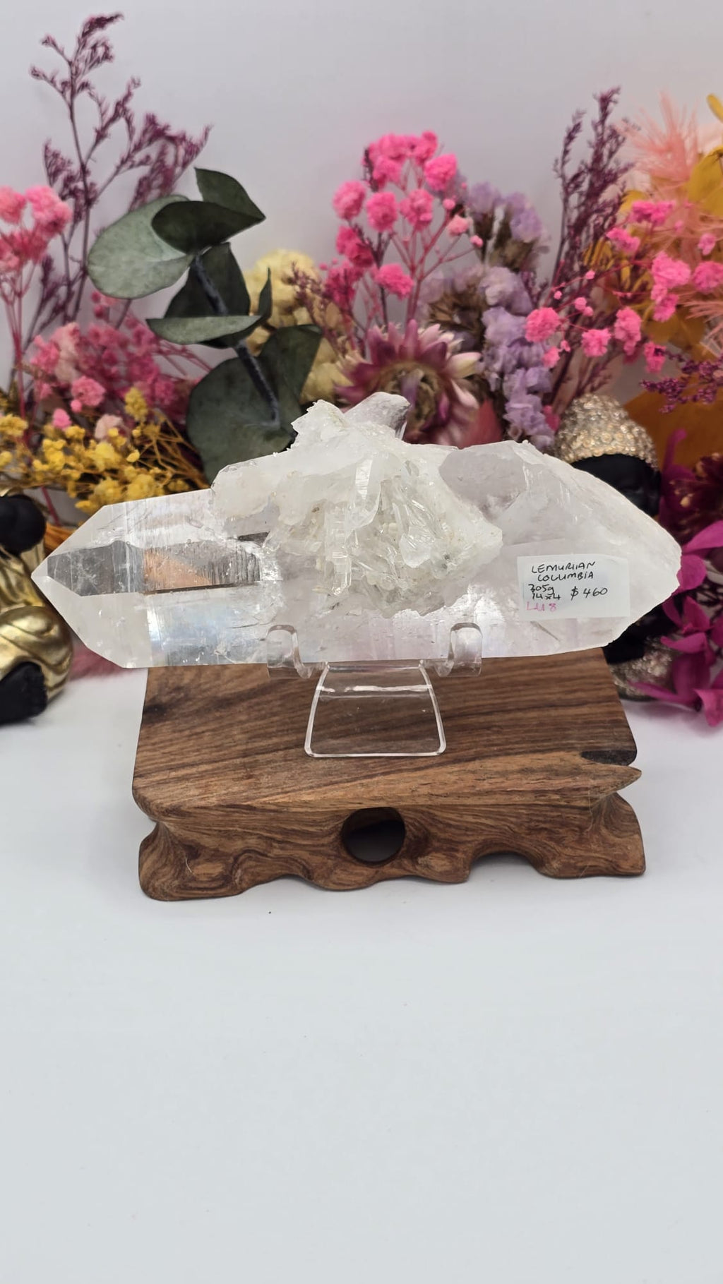 Lemurian ( Australian )