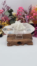 Lemurian ( Australian )