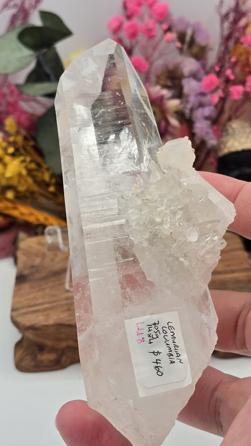 Lemurian ( Australian )