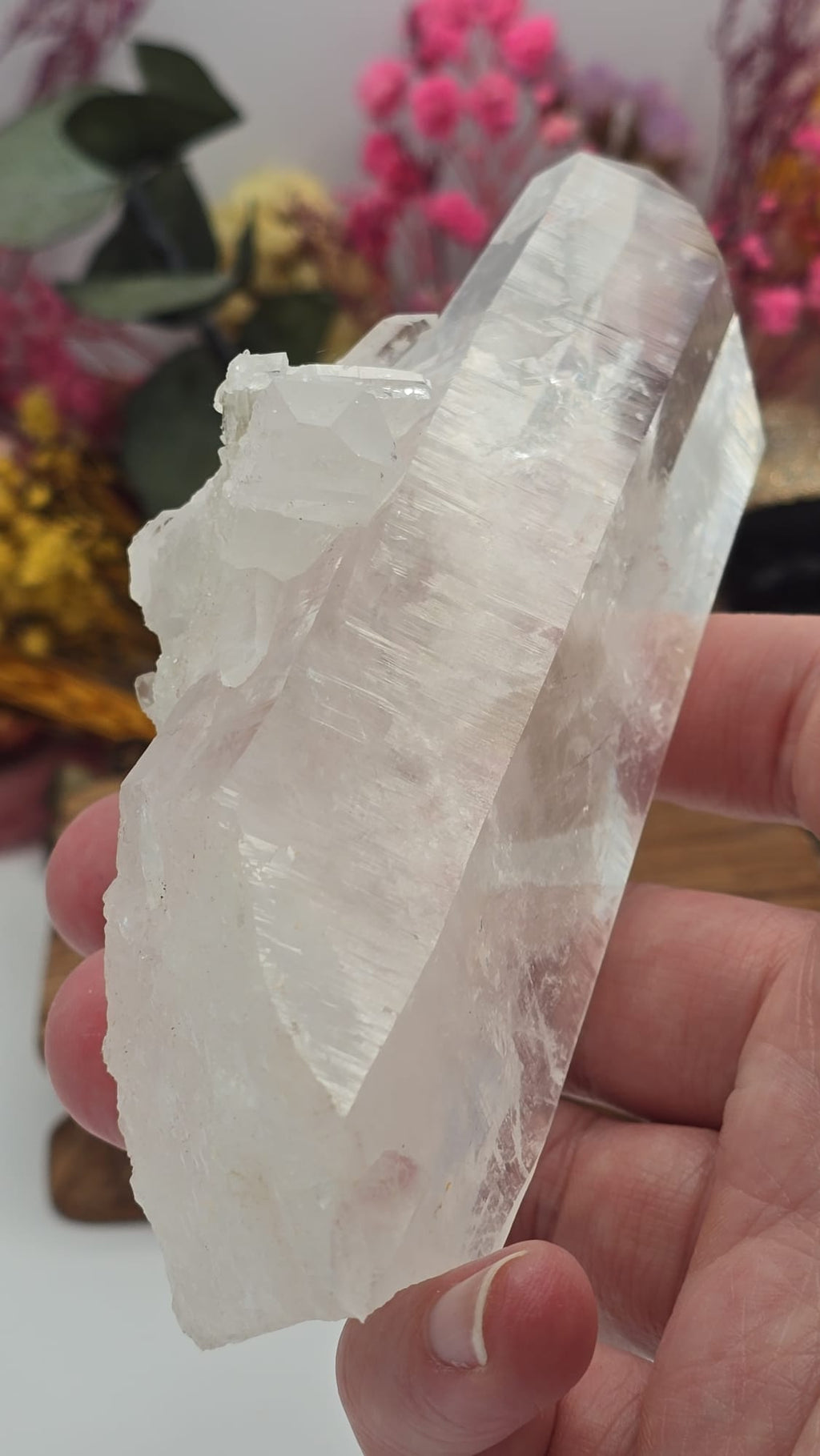 Lemurian ( Australian )